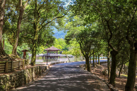 Road to the pond through trees in Nara Parkの写真素材