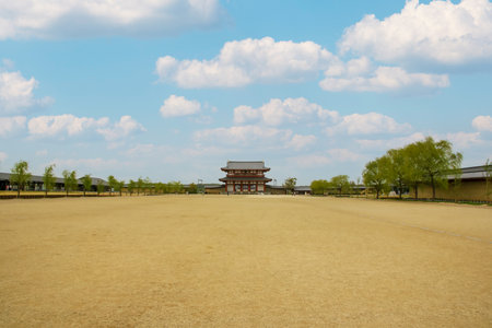 Wide street in front of Suzaku Gate at Nara Palace Siteのeditorial素材