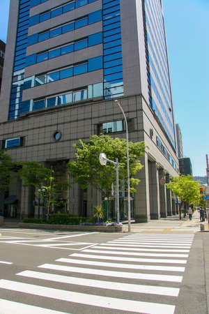 Pedestrian crossing in Japanese city