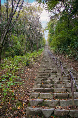 Long stone steps leading to the mountain topの写真素材