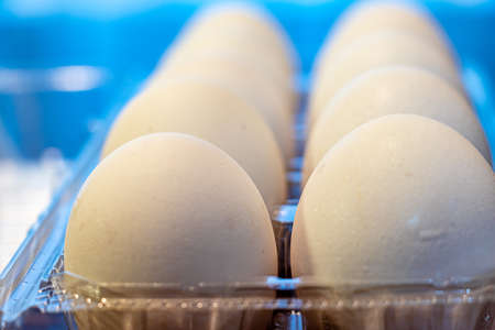 White eggs in a plastic packの写真素材
