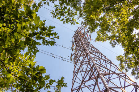 Steel tower for electric power transmission in the forest