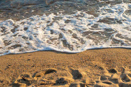 Waves on the sandy beach in the evening