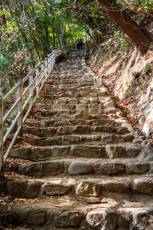 A mountain trail with stone steps leading to Nunobiki Waterfall in Kobeの写真素材