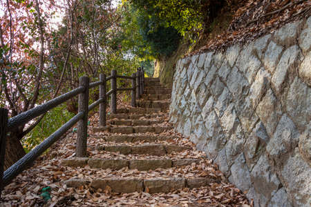 Steep stairs on a mountain road covered with fallen leavesの写真素材