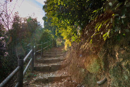 Narrow mountain road in the sunlightの写真素材