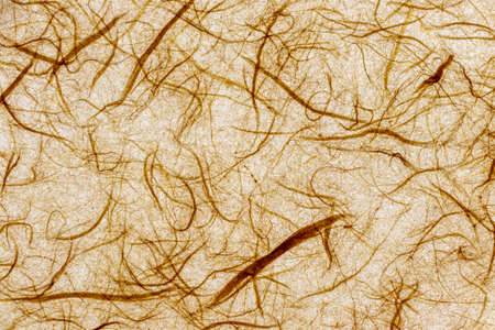 Brown Japanese paper with fibers on the surface