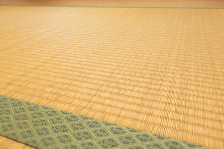 The surface of the tatami mats viewed from a low angleの写真素材