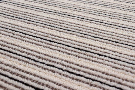 Surface of the carpet with diagonal stripesの写真素材