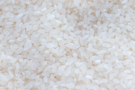 Texture of white rice grainsの写真素材