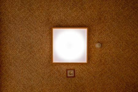 Square light fixture mounted on the ceilingの写真素材