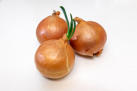 Three onions on white tableの写真素材