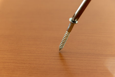 Metal screw on tip of screwdriverの写真素材