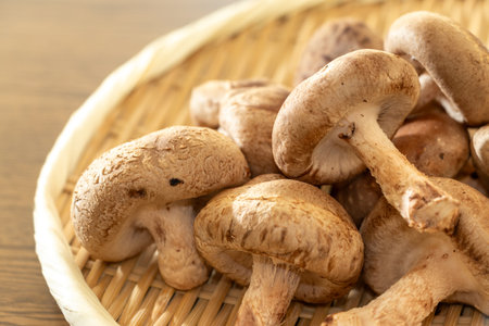 Shiitake mushrooms on a bamboo colanderの写真素材