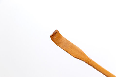 The tip of the back scratcherの写真素材