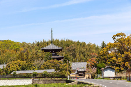 Horinji Temple with three-storied pagoda in Ikaruga, Naraの写真素材