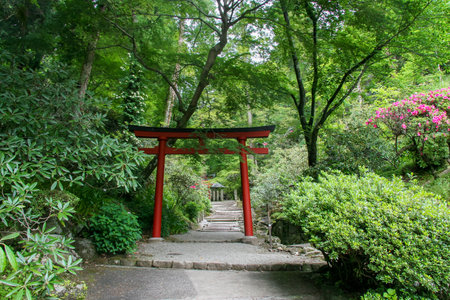 Red torii gate surrounded by fresh greenery