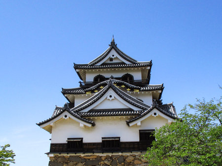 Castle tower of Hikone Castleの写真素材