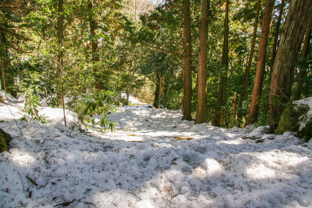 Mountain trail covered with snow in winterの写真素材