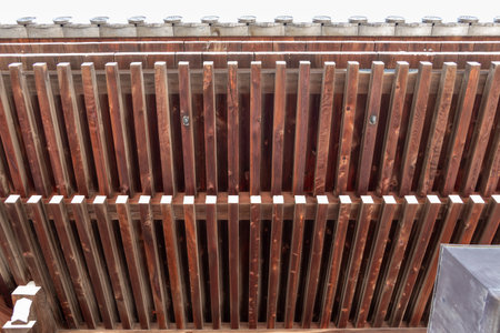 Rafters supporting the eaves in traditional Japanese wooden architecture