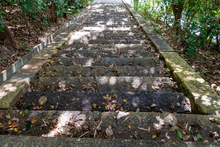 Stone steps with fallen leaves