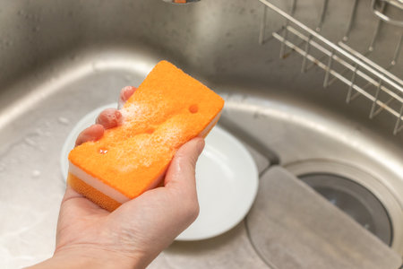 Dishwashing sponge soaked in detergentの写真素材