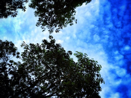 Beautiful skyの素材