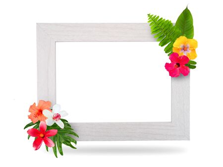 Frame material colored with tropical flowersの写真素材