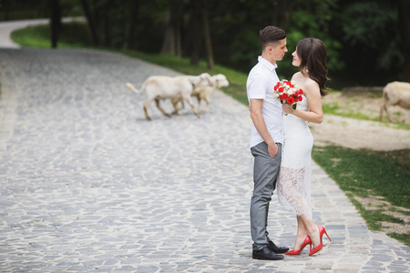 Loving couple walks around the park enjoying lifeの写真素材
