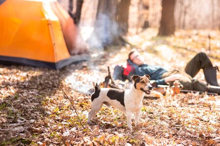 Young cute dog is resting in the woods near the bonfire. Man in the background.の写真素材
