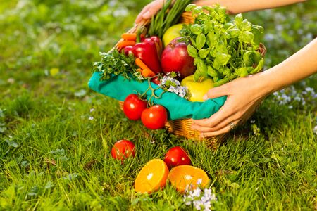 Female hands holding wicker basket with vegetables and fruits, close up.の写真素材