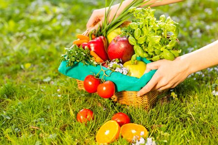 Female hands holding wicker basket with vegetables and fruits, close up.の写真素材