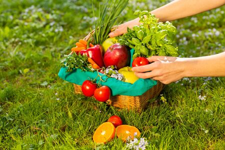 Female hands holding wicker basket with vegetables and fruits, close up.の写真素材