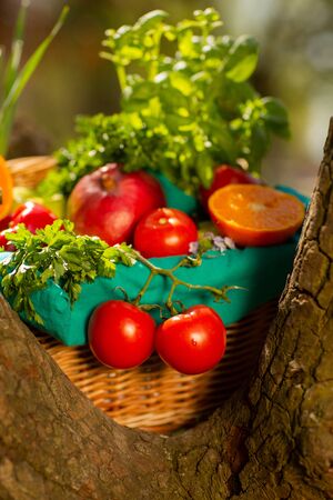 Fresh organic vegetables in wicker basket in the garden on a tree.の写真素材