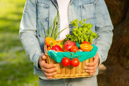 Basket with vegetables and fruits in the hands of a farmer background of nature. Concept of healthy lifestyle.の写真素材