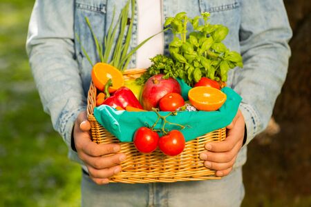 Basket with vegetables and fruits in the hands of a farmer background of nature. Concept of healthy lifestyle.の写真素材