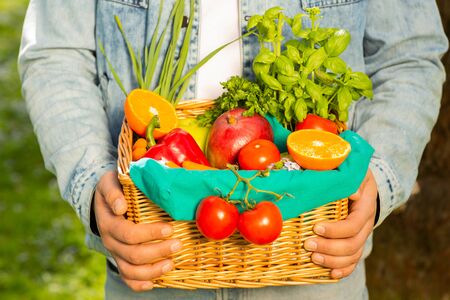 Basket with vegetables and fruits in the hands of a farmer background of nature. Concept of healthy lifestyle.の写真素材