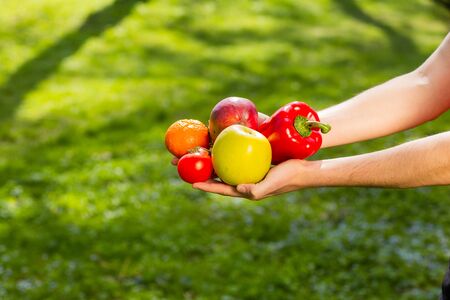 Close up of a farmer's hands holding fruits and vegetables on the background of blurred greens.