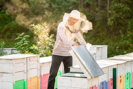 A beekeeper smokes bees in the process of collecting honey in wooden colored beehives. Beekeeping tool.の写真素材