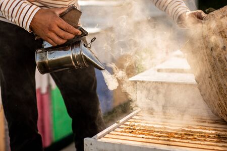 A beekeeper smokes bees in the process of collecting honey in wooden colored beehives. Close up. Beekeeping tool.の写真素材