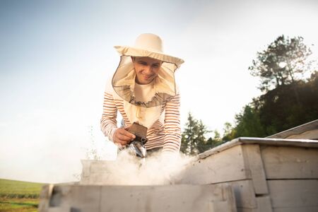 A beekeeper smokes bees in the process of collecting honey in wooden colored beehives. Beekeeping...