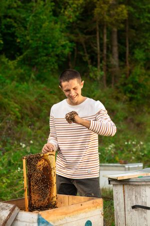 Happy beekeeper spends time in apiary. He holds a honeycomb full of bees. One hand is all in the...