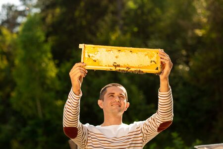 Beekeeper holding a honeycomb with bees near the beehives. A man checks the honeycomb. Beekeeping concept.の写真素材