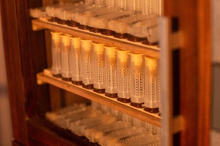 Shelves with cell curlers for the withdrawal of the queen bee in a special locker. Close up, details of beekeeping.の写真素材