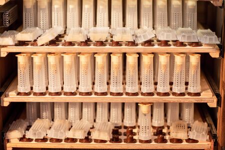 Shelves with cell curlers for the withdrawal of the queen bee in a special locker. Close up, details of beekeeping.の写真素材