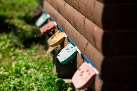 The bees fly into a wellness house to sleep. Small colored entrances especially for bees. Healthy Lifestyle.の写真素材