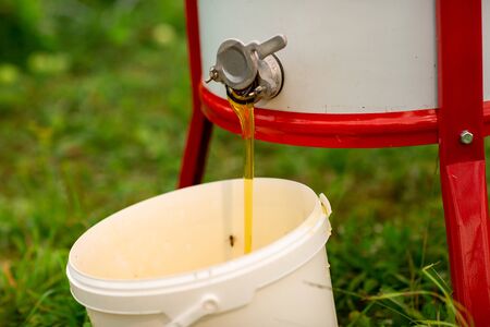 Close up of a stream of fresh honey flows from the honey extractor into the white bucket. Beekeeping.の写真素材