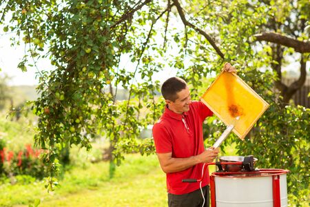 Beekeeper in red t-shirt cuts wax from honeycomb frame with a special electrik knife near the honey extractor.の写真素材
