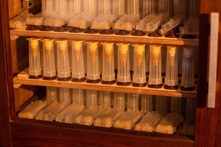 Shelves with cell curlers for the withdrawal of the queen bee in a special locker. Close up, details of beekeeping.の写真素材