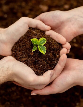 Close up of male and female hand holding soil with seedling. Gardening, environmental protection, clean air concept.の写真素材